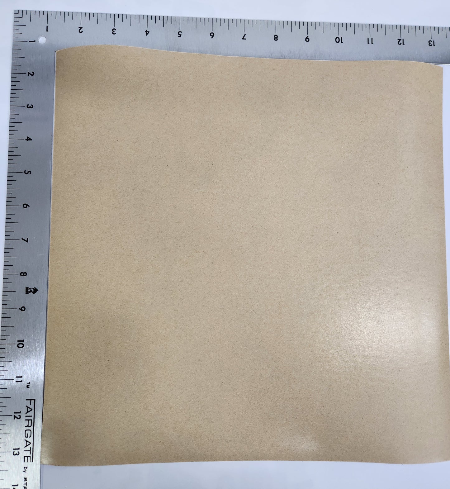TEF1/SHEET